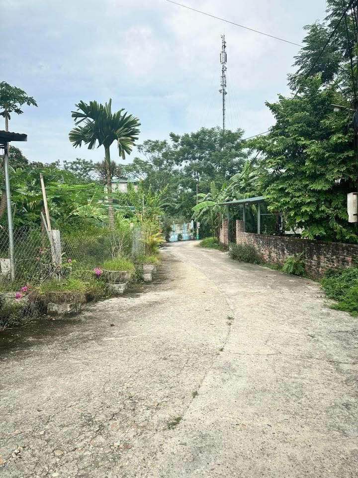 Đất nền Tràng Đà 120m² giá 600 triệu - Không lo ngập úng!