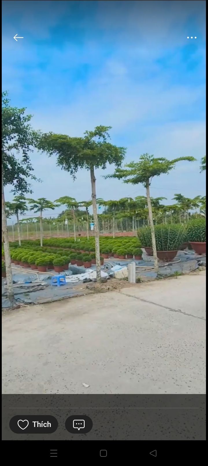 Đất nền thổ cư An Bình, Cần Thơ 62m² giá 1.25 tỷ - Vị trí giao thông thuận lợi!