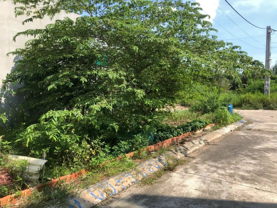 Lô đất góc 2 mặt tiền hẻm 53 đường Lò Lu 120m² giá 6 tỷ - Sổ đỏ chính chủ, xây dựng tự do!