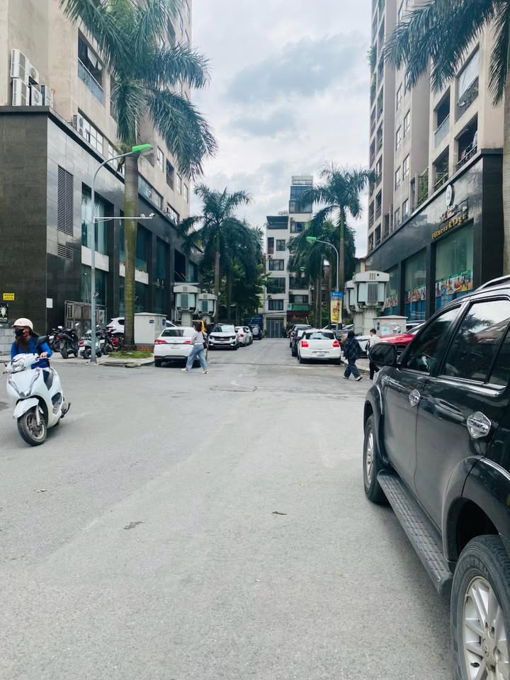 Biệt thự nhà vườn phố Trường Chinh Đống Đa 80m² giá 39.9 tỷ - Lô góc ô tô tránh, kinh doanh văn phòng