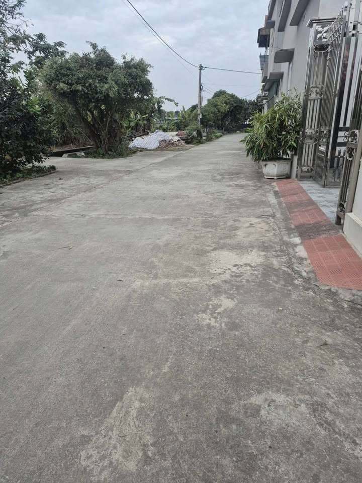 Đất nền Minh Lãng Vũ Thư 60.2m² giá 400 triệu - Cơ hội đầu tư hấp dẫn!