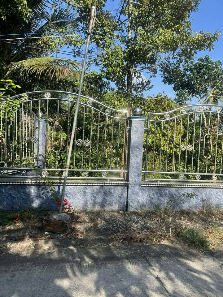 Đất nền 50m² tại xã Phú An, Cai Lậy, Tiền Giang - Giá chỉ 750 triệu!