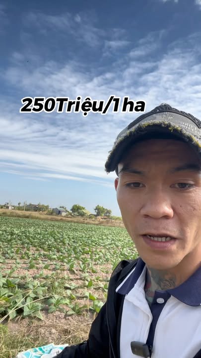 Đất nền 1ha xã Ea Rok giá 250 triệu - Tiềm năng đầu tư sinh lời cao!