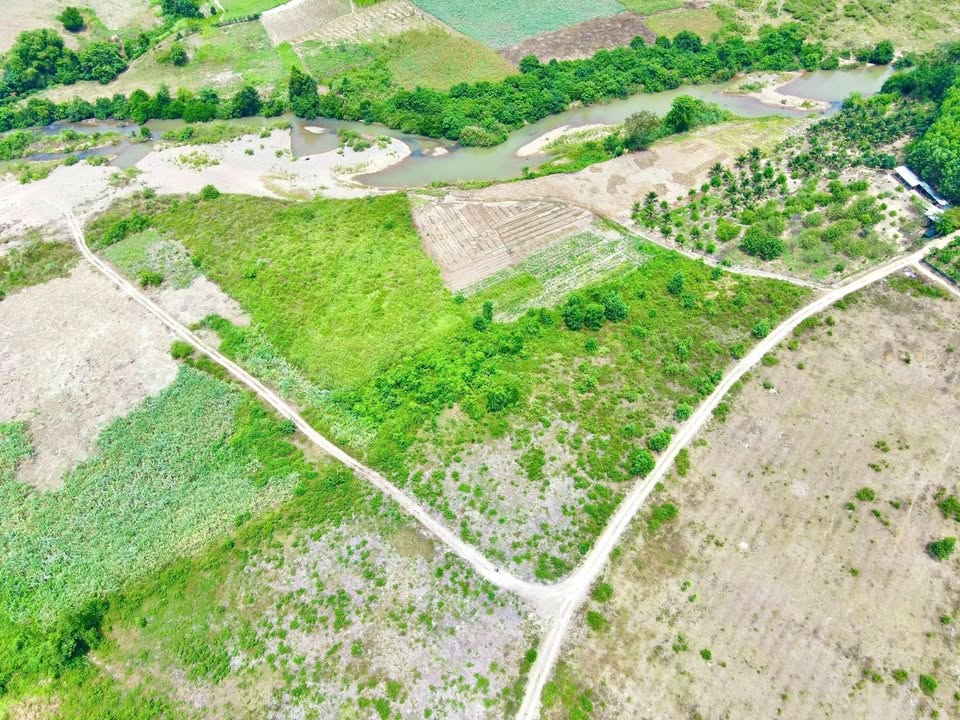 Đất vườn Khánh Hiệp, Khánh Vĩnh 1,4 ha giá chỉ 100 triệu/sào - Cơ hội đầu tư tuyệt vời!