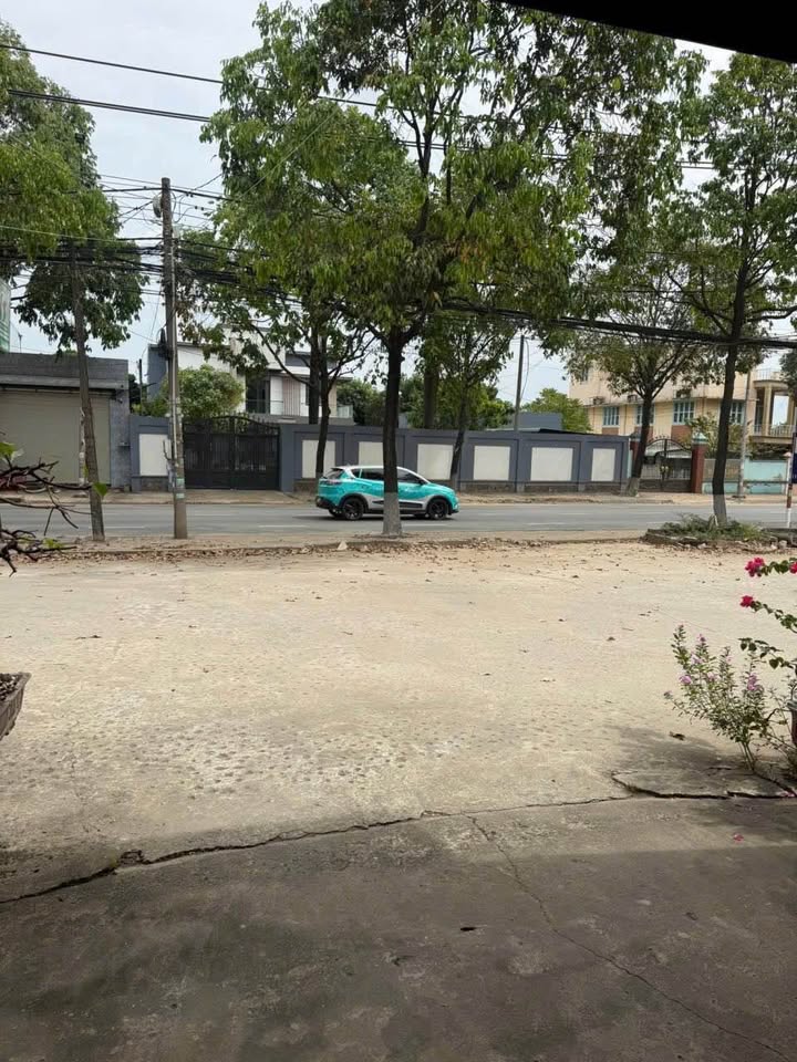 Nhà cấp 4 mặt tiền Bùi Hữu Nghĩa, Biên Hòa 220m² giá 5.2 tỷ - Đầu tư sinh lời ngay!