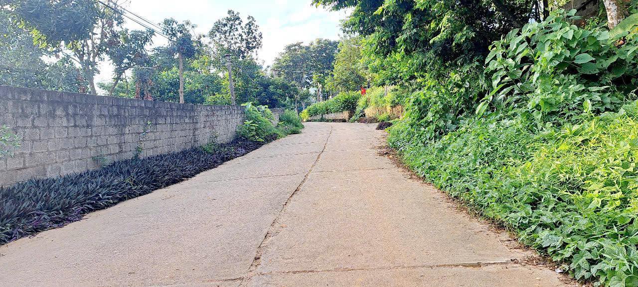 Đất Tứ Hiệp, Hạ Hòa 426m² giá 200 triệu - Đầu tư sinh lời cao!