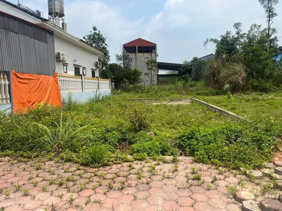 Đất nền TĐC Trung Thành 1, Phường Quyết Thắng, 129.8m² - Giá chỉ 3 tỷ!