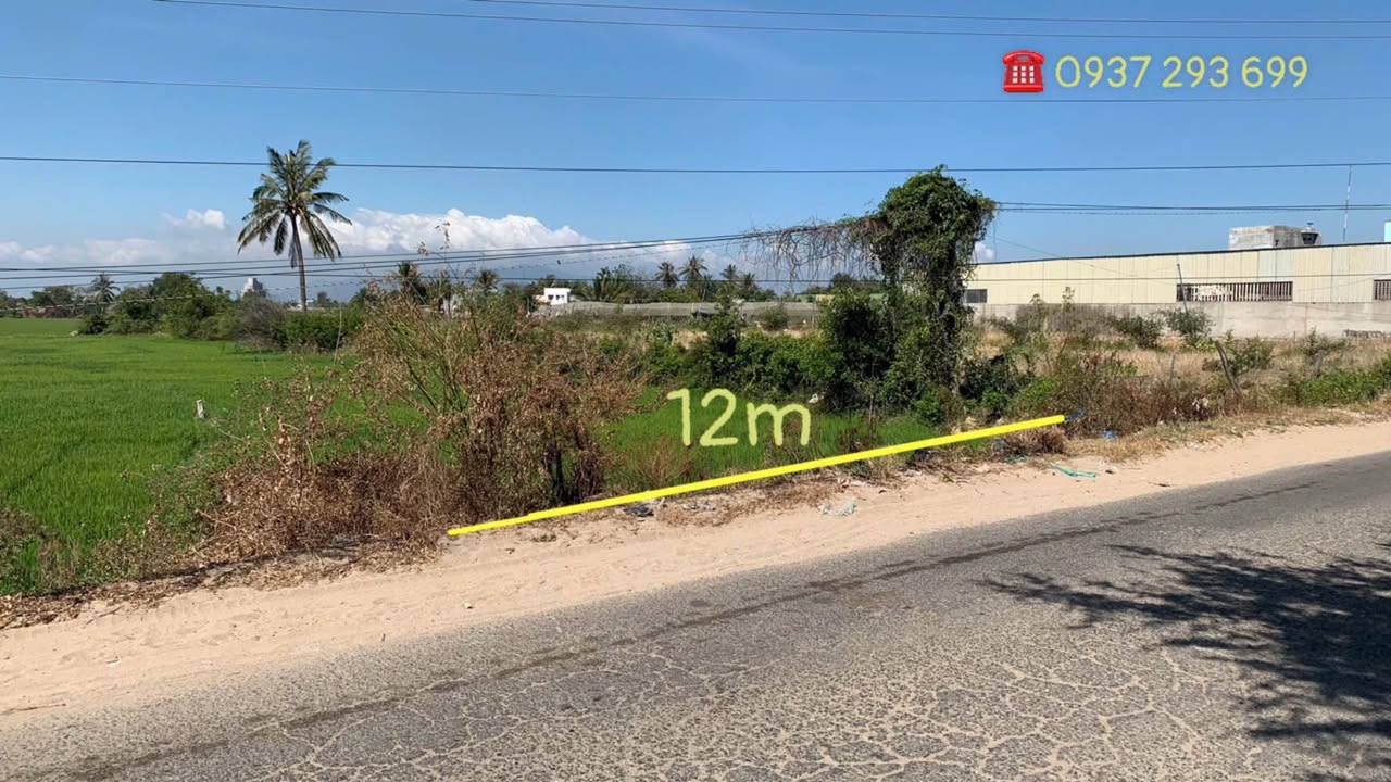 Đất nông nghiệp An Thạnh, An Hải 1727m² giá 1 tỷ - Tiềm năng kinh doanh lớn!