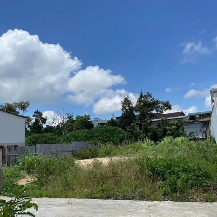 Đất nền 1800m² tại chợ Tân Bùi, Bảo Lộc - Giá chỉ 4.5 tỷ!