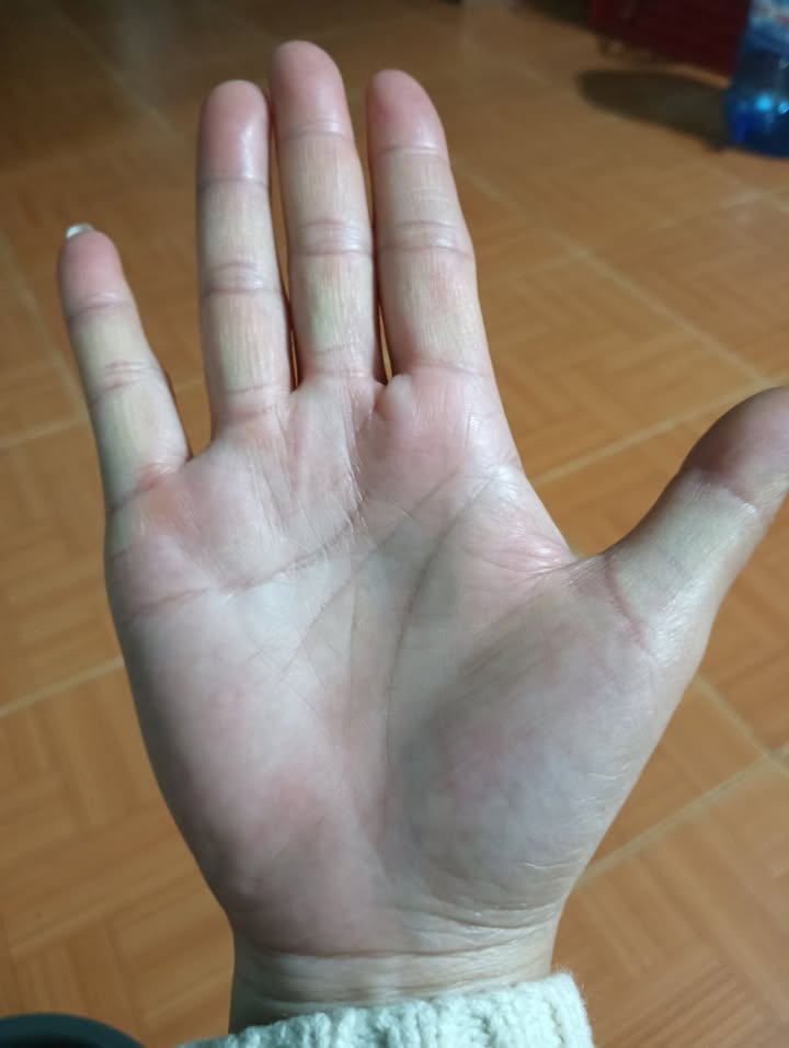 Đất nền Lộc Phú Bảo Lâm 10.000m² giá chỉ 2.5 tỷ - Cơ hội đầu tư sinh lời!