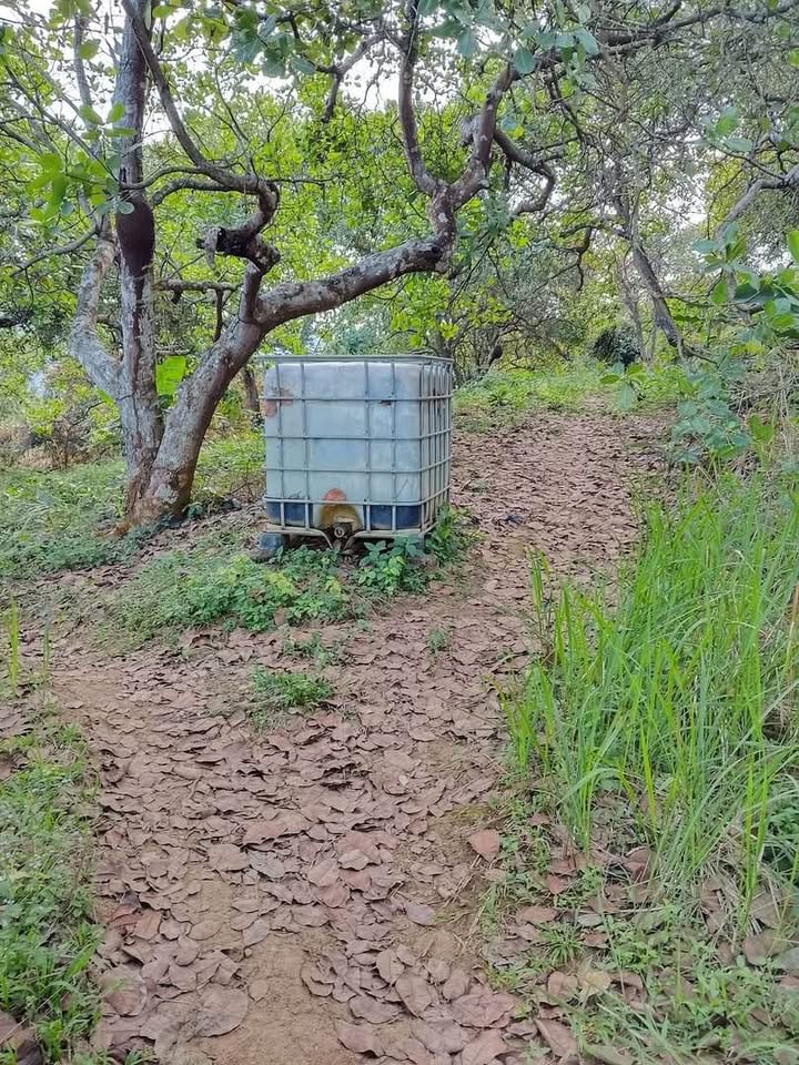 Đất nền Đa Kai, Đức Linh 20000m² giá 2.45 tỷ - Cơ hội đầu tư tuyệt vời!