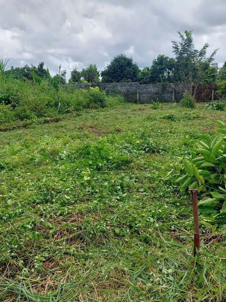 Đất nền hẻm 93 Nguyễn Tri Phương, Bảo Lộc 723m² giá 1.9 tỷ - Đầu tư sinh lời ngay!