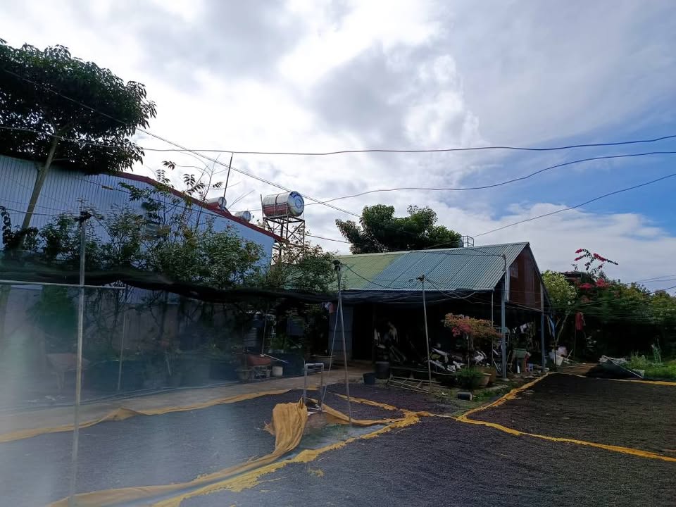 Đất mặt tiền Quốc lộ 20, Lộc An 300m² - Cơ hội đầu tư lý tưởng!