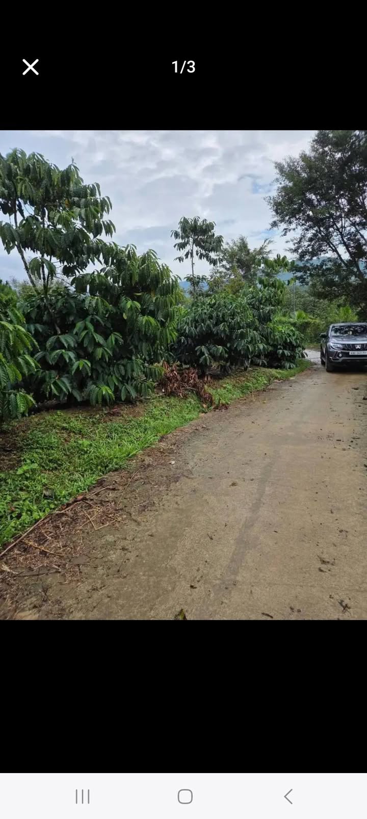 Đất thổ cư Đại Lào 1500m² giá 900 triệu - Cơ hội đầu tư tuyệt vời!