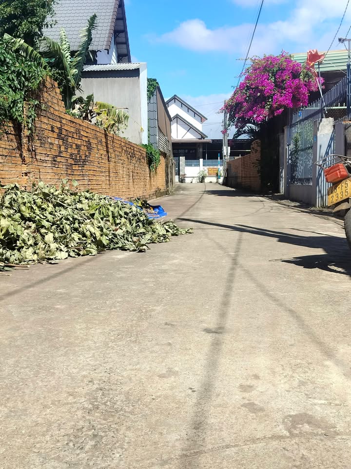 Đất nền Quỳnh Tân 195m² giá 920 triệu - Cách Tỉnh Lộ 2 chỉ 30m!