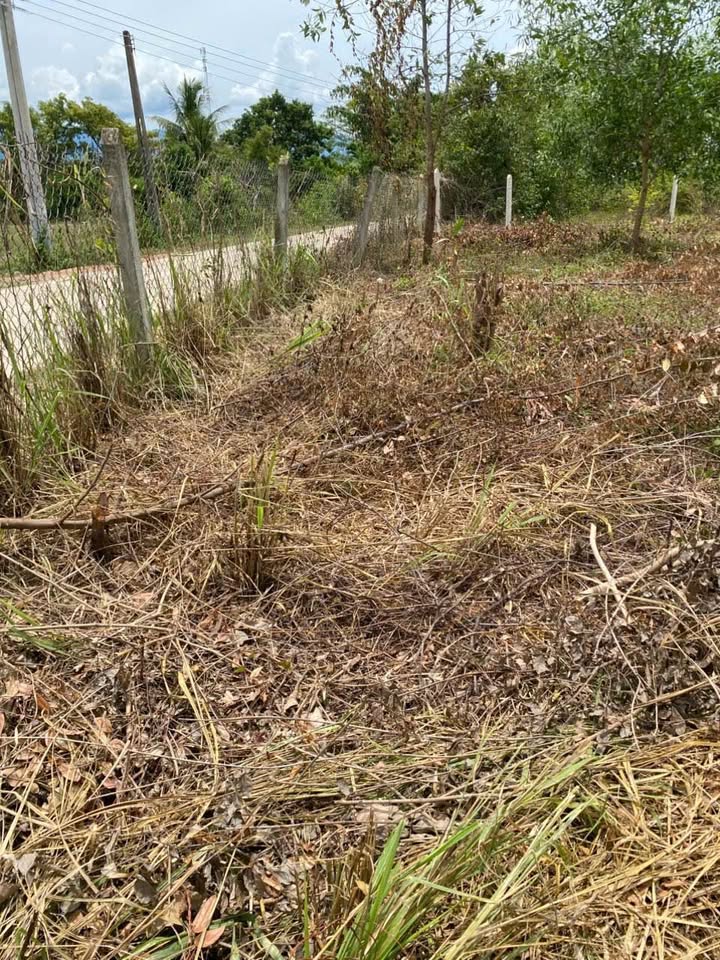 Đất thổ cư Diên Khánh 1043m² giá 1.35 tỷ - Đầu tư sinh lời ngay!