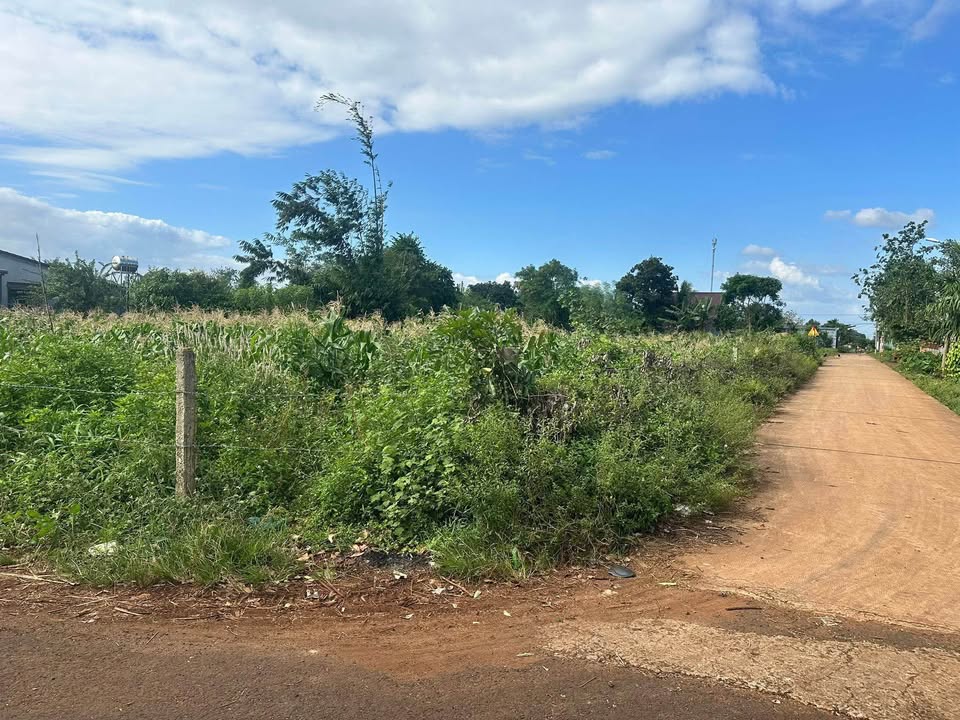 Đất thổ cư Hòa Phú, Buôn Ma Thuột 227.5m² giá 868 triệu - Cơ hội đầu tư tuyệt vời!