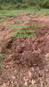 Đất nền Quảng Hiệp, Cư M'gar 2.2 ha giá 1.55 tỷ - Cơ hội đầu tư sinh lời!