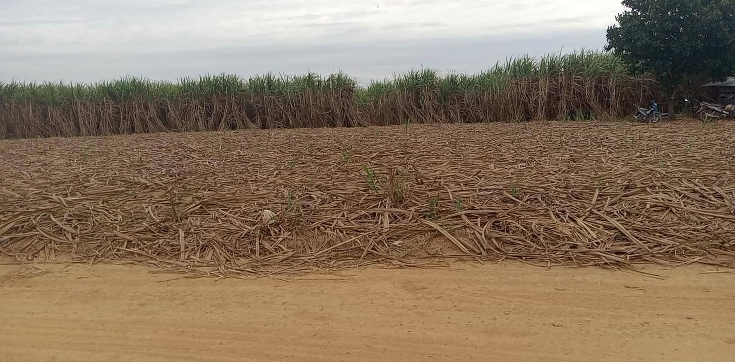 Đất nền thổ cư 2.4ha tại xã Ea Huar, Buôn Đôn - Giá chỉ 800 triệu!