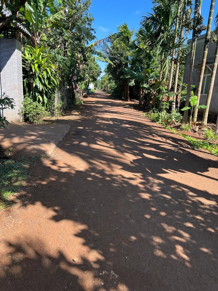 Đất thổ cư Tân Lập, Buôn Ma Thuột 150m² giá 1.25 tỷ - Đường lớn, gần sân bay!