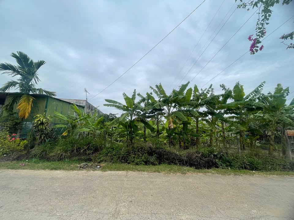 Đất nền thôn 13 Tâm Thắng, Cư Jút, Đắk Nông 162m² giá 90 triệu - Đầu tư sinh lời ngay!