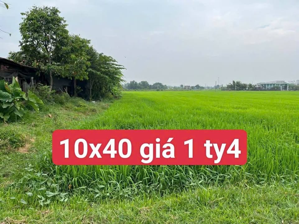 Đất thổ cư 400m² tại Hòa Khánh Đông, Đức Hòa - Giá 1.4 tỷ, sổ hồng chính chủ!