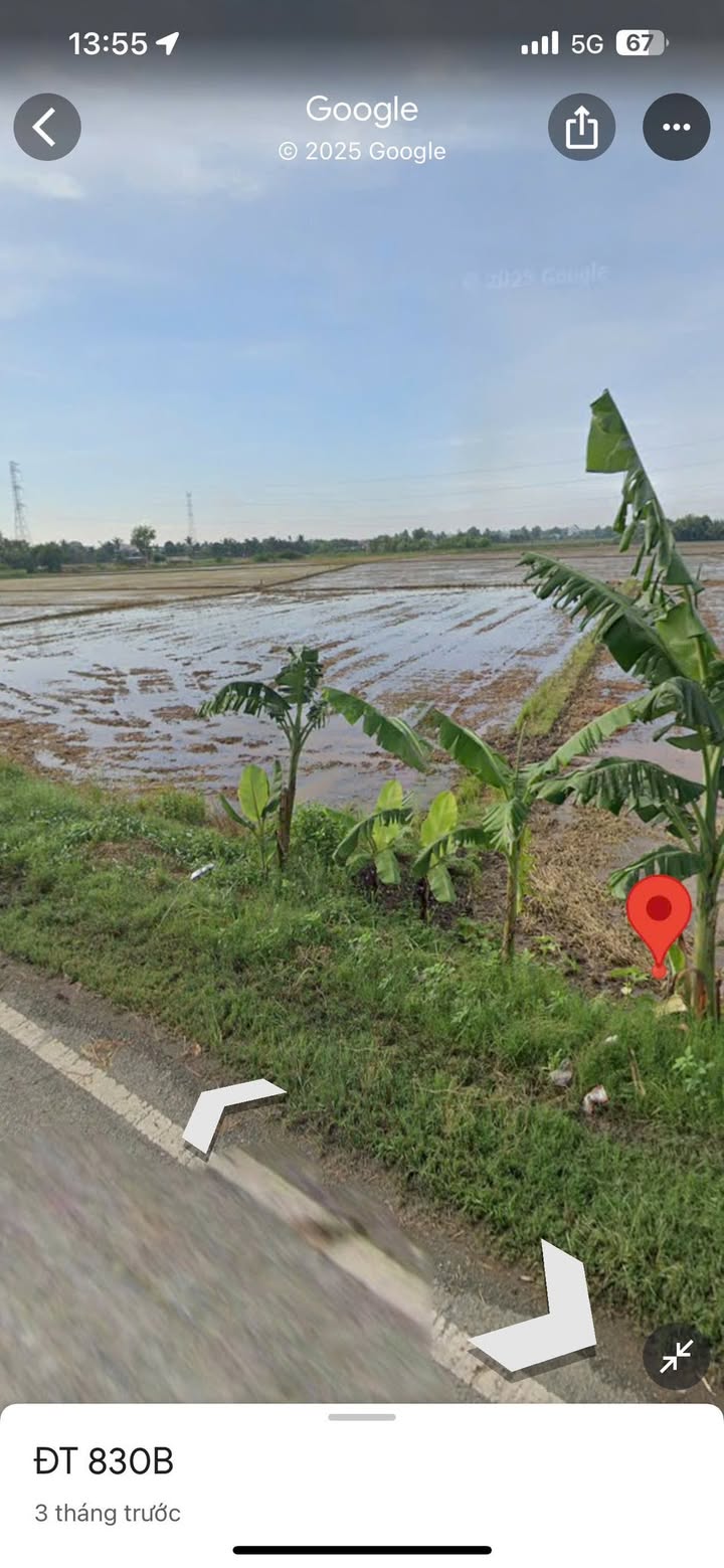 Đất nền mặt tiền ĐT830, Long Sơn, Cần Đước 2565m² - Pháp lý rõ ràng, giá chỉ 10.5 tỷ!
