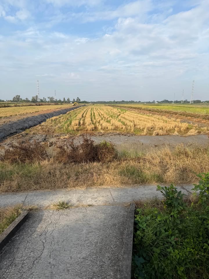 Đất nền 6000m² khóm 4 Thới Bình Cà Mau - Chính chủ, pháp lý rõ ràng!