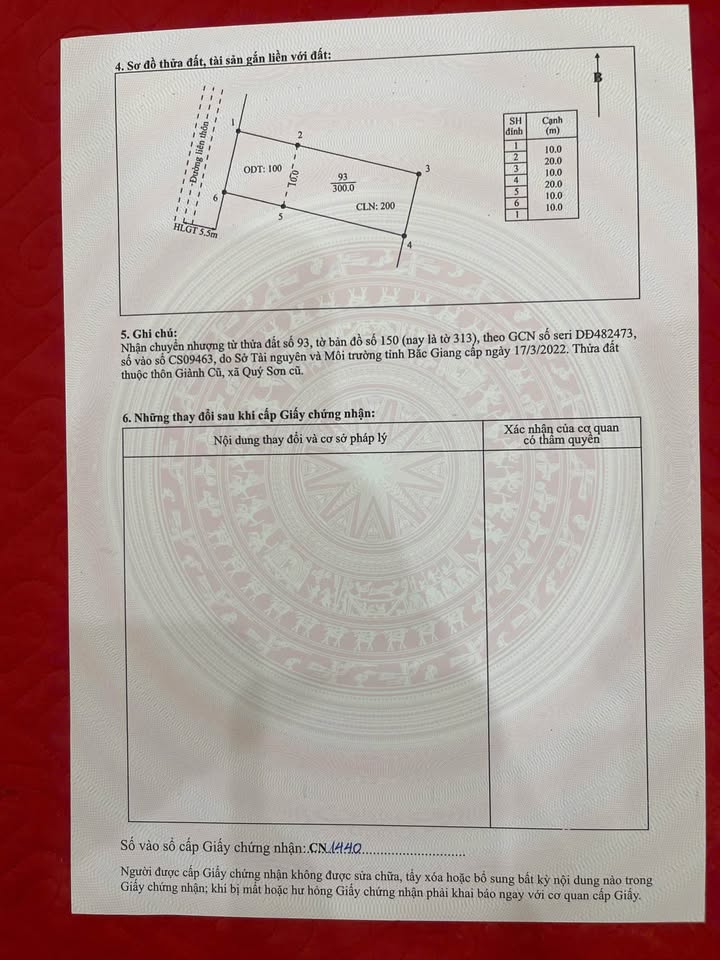 Đất nền quận Lục Ngạn 300m² giá 900 triệu - Tiềm năng đầu tư lớn!