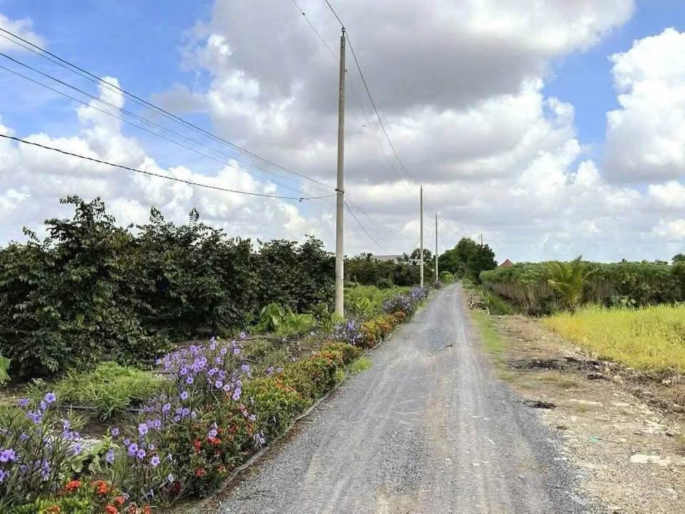 Đất vườn 1500m² xã Bình Đức, Bến Lức, Long An - Giá chỉ 3 tỷ, đầu tư sinh lời!