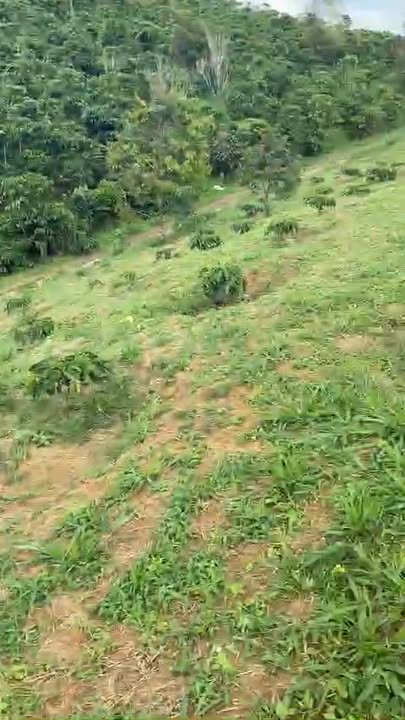 Đất nền Hòa Nam Di Linh 2880m² giá 1 tỷ - Đầu tư sinh lời ngay!