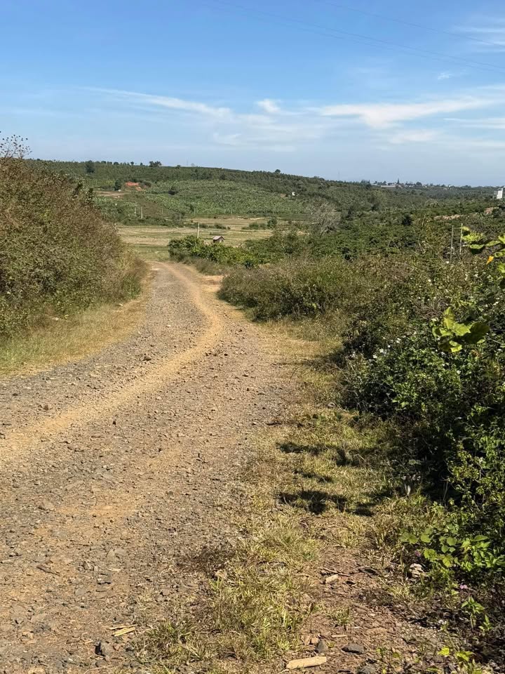 Đất nền Đinh Lạc, Di Linh 2100m² giá 850 triệu - Sổ đỏ chính chủ, ô tô vào tận nơi!