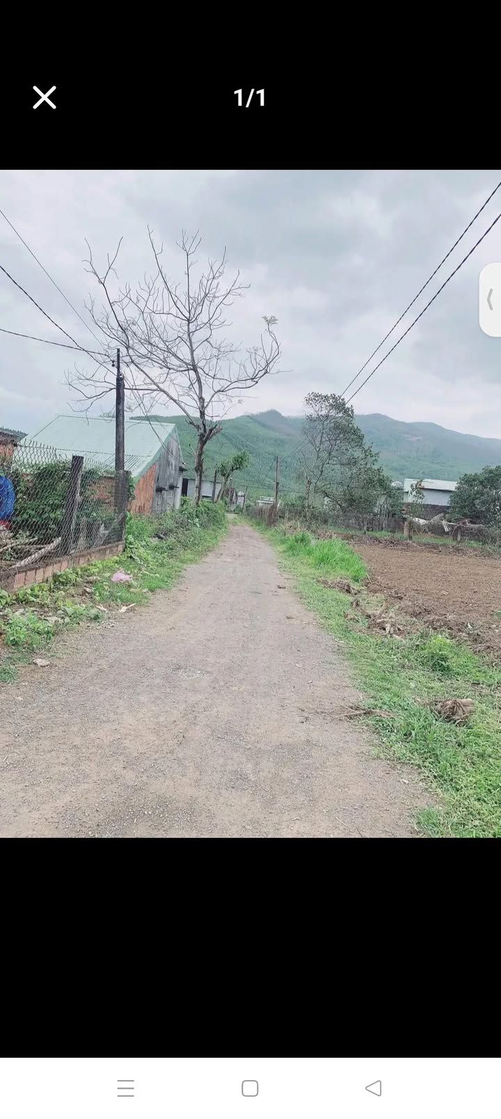 Đất thổ cư 1300m² tại Thôn Thọ Tân Bắc, An Nhơn - Phù hợp với nhà vườn!