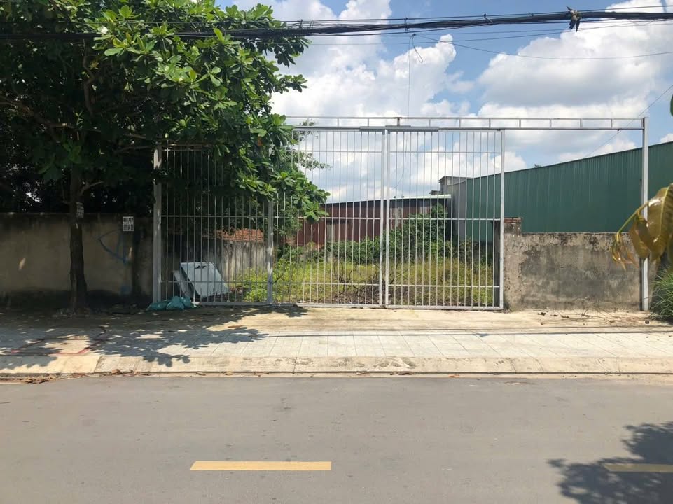 Bán đất Tân Hiệp Hóc Môn 264m² giá 8.5 tỷ - Đường Huỳnh Thị Mài, Xây dựng tự do!