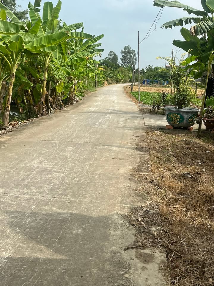 Đất nền mặt tiền kênh Tham Thư, Gò Công Tây 480m² giá 850 triệu - Đầu tư sinh lời hấp dẫn!