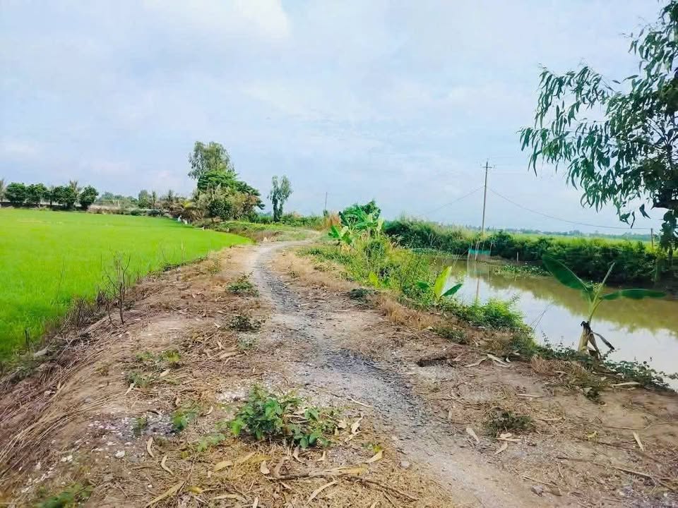 Đất nền mặt tiền bờ Sáng, xã Bình Thành, 8.800m² chỉ 1.584 tỷ - Cơ hội đầu tư hấp dẫn!