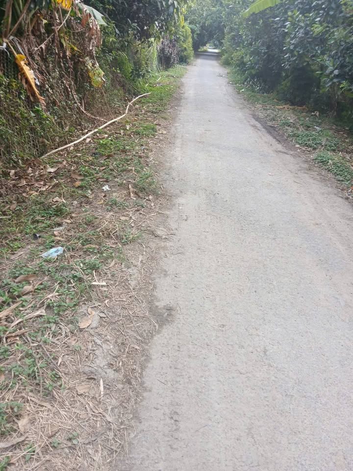 Đất mặt tiền 24m tại Thanh Bình, Đồng Tháp - Giá chỉ 2.04 tỷ!