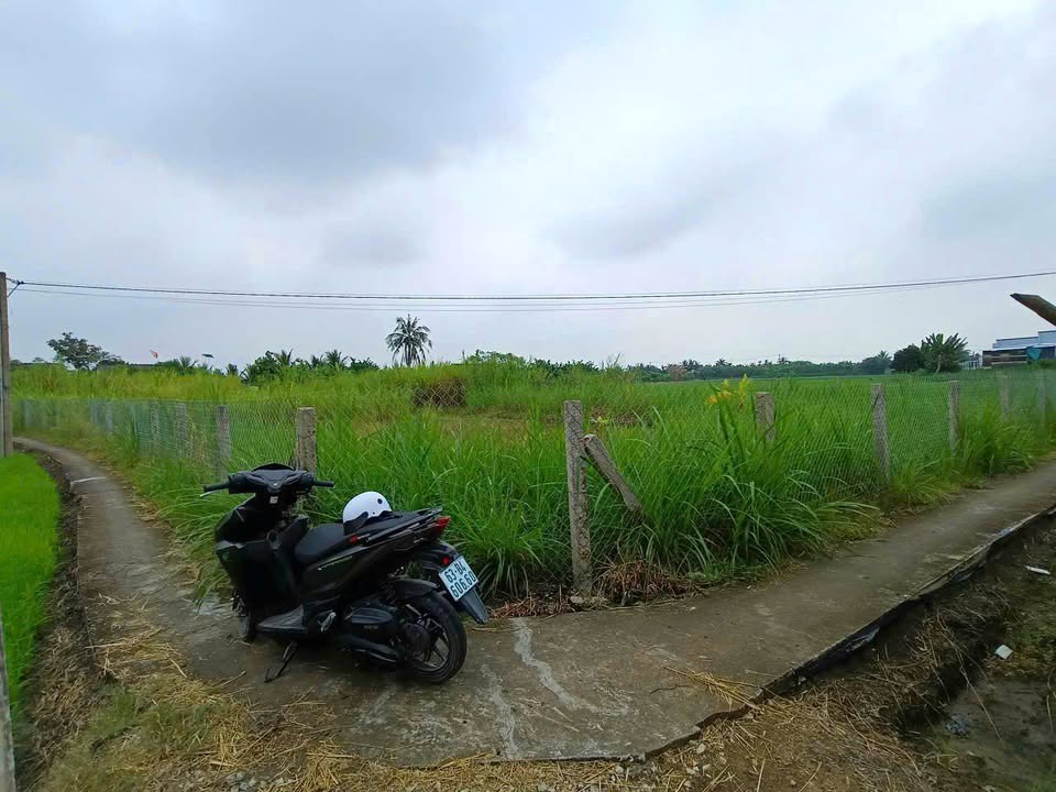 Đất nền 1500m² tại Bình Khánh, Phú Thành - Giá chỉ 550 triệu, sổ đỏ chính chủ!