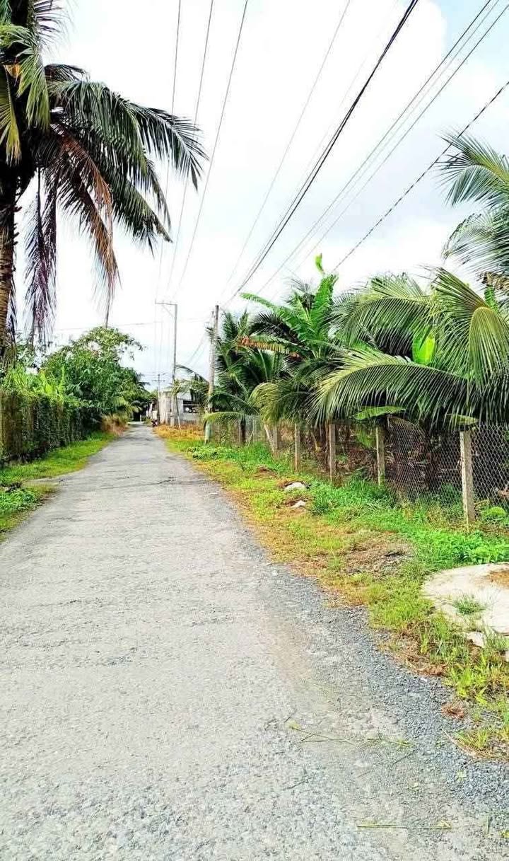 Đất vườn Phú Túc Châu Thành 2000m² giá 5.5 tỷ - Cơ hội đầu tư tuyệt vời!