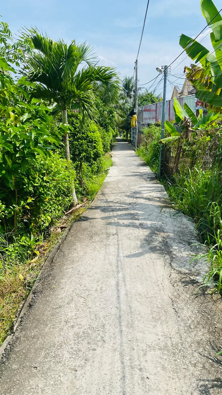 Đất thổ cư 102m² xã Phú Hưng, TP Bến Tre - Giá chỉ 320 triệu!