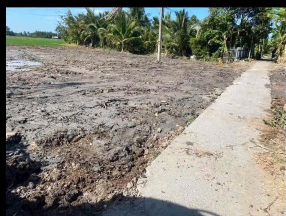 Đất thổ cư 50m² ấp Hòa Lợi, xã Thạnh Lộc 221m² giá chỉ 360 triệu - Đầu tư sinh lời ngay!