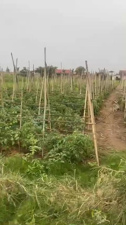 Đất nuôi trồng thủy sản 900m² tại Nghĩa Hưng chỉ 400 triệu - Sổ đỏ chính chủ!