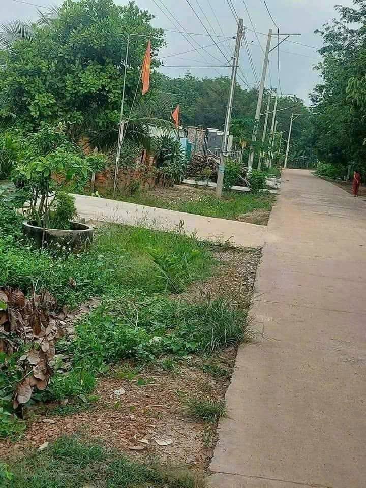 Đất thổ cư 300m² đường Tân Định 26, Bắc Tân Uyên giá 980 triệu - Đầu tư sinh lời!