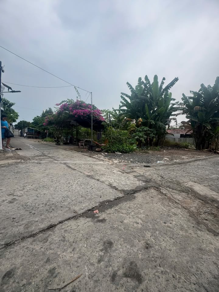 Đất Phú Hòa Thủ Dầu Một 87m² giá 2.29 tỷ - Đường thông gần trường Tiểu học Phú Hòa 3!