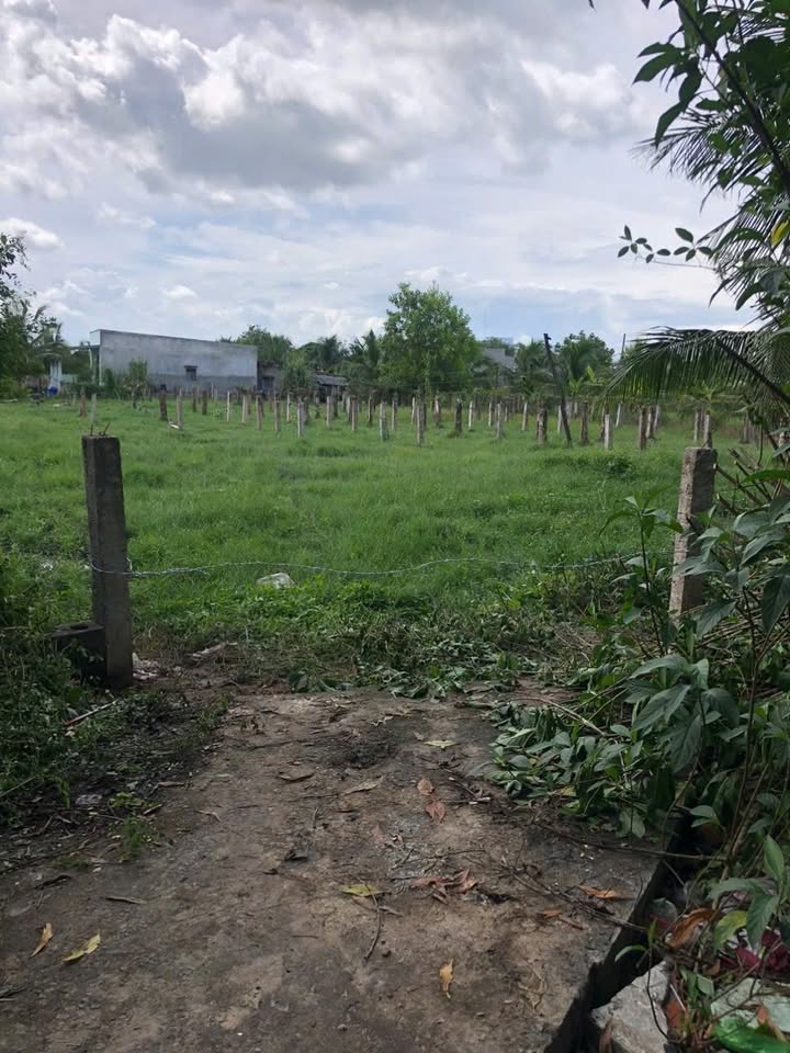 Đất nông nghiệp 1 sào tại Hàm Thắng, Bình Thuận giá 2.52 tỷ - Gần khu dân cư, đường ô tô vào tận nơi!