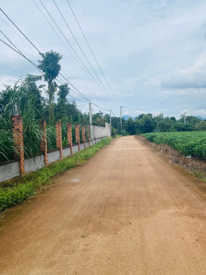 Đất nền Hòa Hiệp, Xuyên Mộc 1196m² giá 2 tỷ - Cơ hội đầu tư tuyệt vời!