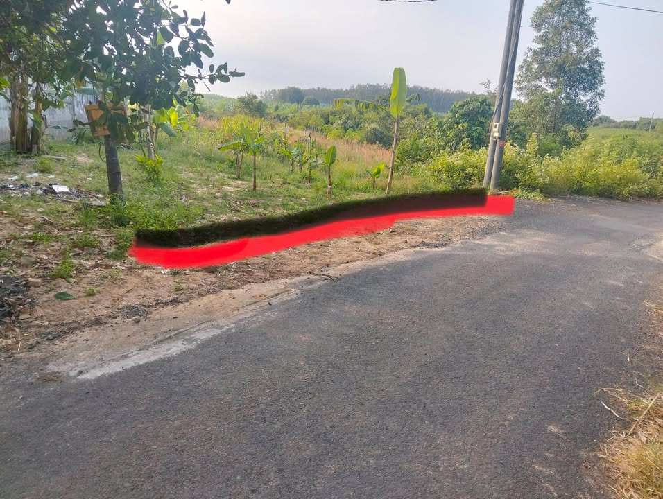 Đất trồng cây lâu năm 1000m² xã Hồ Tràm - Giá chỉ 1.6 tỷ, thương lượng ngay!