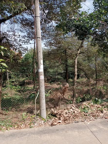 Đất nền mặt tiền 600m² tại Long Khánh, Cai Lậy chỉ 1.6 tỷ - Cơ hội đầu tư tuyệt vời!