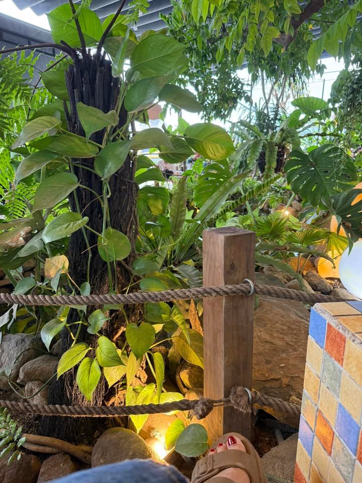 Đất nền Tam Hiệp 112m² giá 700 triệu - Đầu tư an cư lý tưởng!