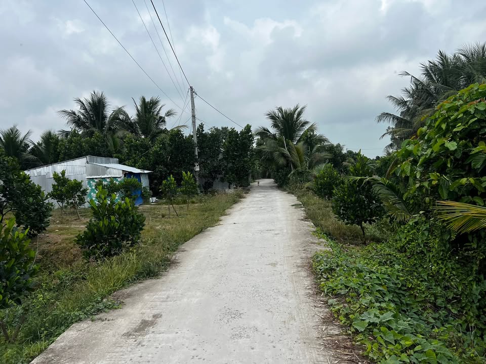 Đất lúa 9800m² tại xã Thanh Bình, Đồng Tháp - Giá chỉ 3.5 tỷ, thương lượng ngay!